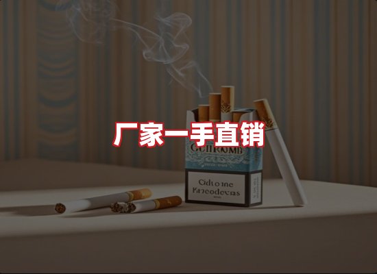 专业团队